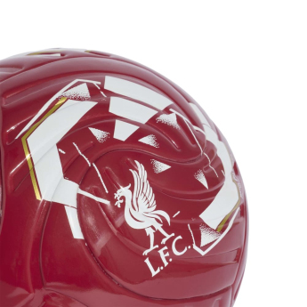 FC Liverpool míč Club Home