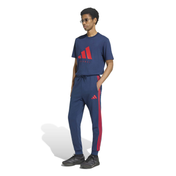 FC Arsenal pánské tričko DNA Graphic navy