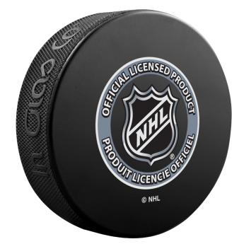 Anaheim Ducks puk Basic logo