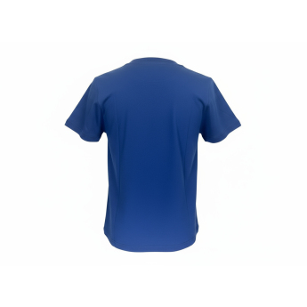 Toronto Maple Leafs dětské tričko Divide Ss Ctn Tee