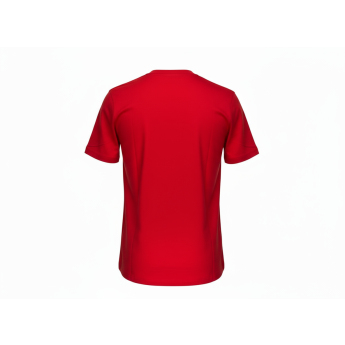 Detroit Red Wings dětské tričko Apro Wordmark Ss Ctn Tee