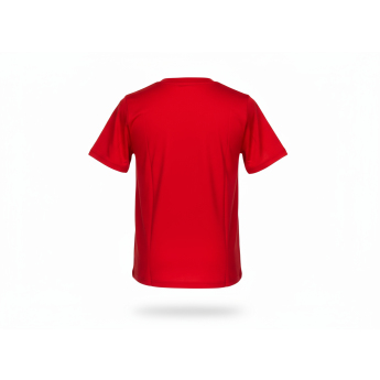Chicago Blackhawks dětské tričko Apro Wordmark Ss Ctn Tee red