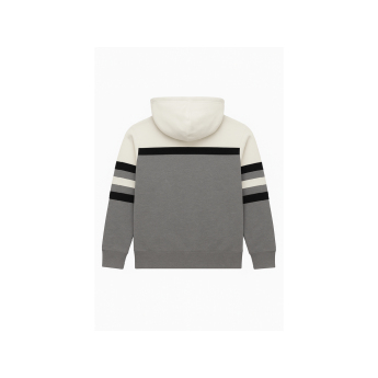 Chicago Blackhawks pánská mikina s kapucí Head Coach Hoodie Current Logo grey
