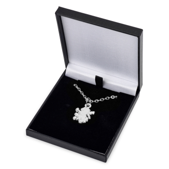 Aston Villa řetízek na krk s přívěškem Silver Plated Boxed Pendant LN