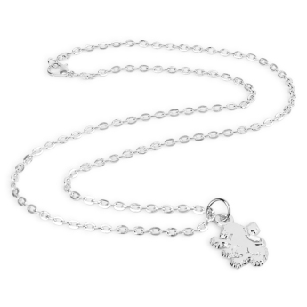 Aston Villa řetízek na krk s přívěškem Silver Plated Boxed Pendant LN