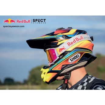 Red Bull Racing motokrosové brýle STRIVE gray with smoked glass
