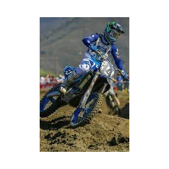 Modely aut a motorek model 1/12 YAMAHA YZ 450 F N.14 DYLAN FERRANDIS