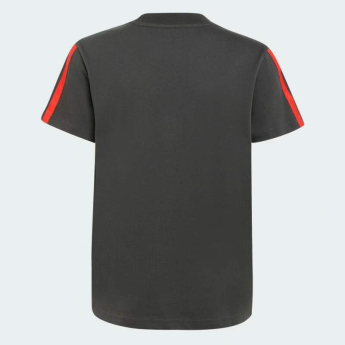 Audi F1 dětské tričko DNA print grey F1 Team 2026