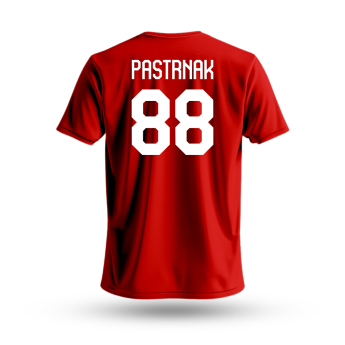 Hokejové reprezentace dětské tričko Czech republic David Pastrňák #88 National Emblem 2025 red