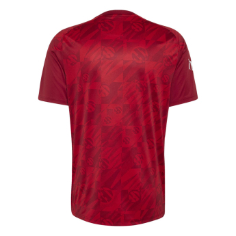 FC Liverpool fotbalový dres 26/27 Prematch away