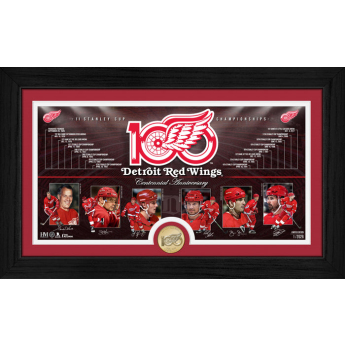 Detroit Red Wings sběratelská plaketa 100th bronze coin Timeline photo mint