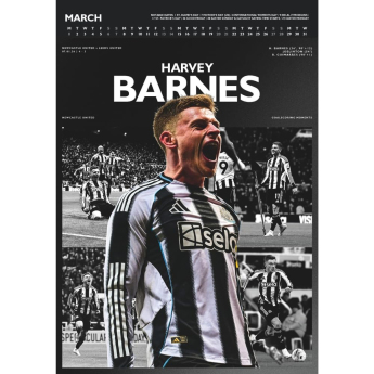 Newcastle United kalendář Deluxe 2027