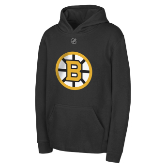 Boston Bruins dětská mikina s kapucí David Pastrnak #88 NHL Flat Name & Number Fleece