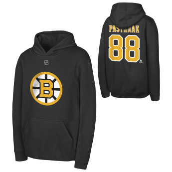 Boston Bruins dětská mikina s kapucí David Pastrnak #88 NHL Flat Name & Number Fleece