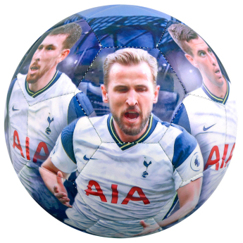 Tottenham Hotspur fotbalový míč players photo football