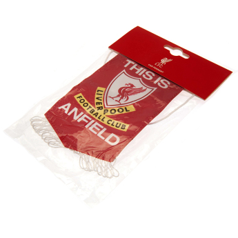 FC Liverpool vlaječka Mini Pennant TIA white