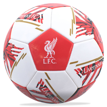 FC Liverpool fotbalový set water bottle - hand pump - size 5 ball
