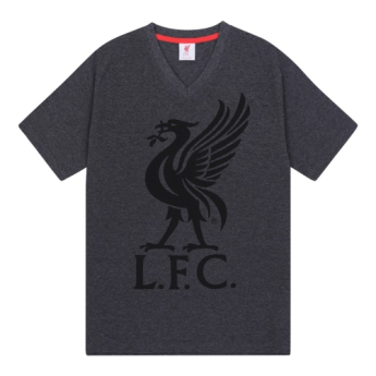 FC Liverpool pánské pyžamo SLab grey