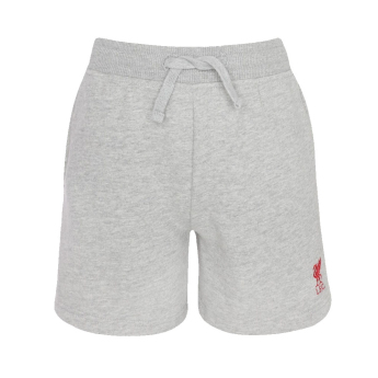 FC Liverpool dětské kraťasy Sweat grey