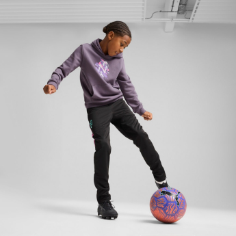 Neymar Jr dětská mikina s kapucí NEYMAR JR Creativity purple