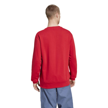 Bayern Mnichov pánská mikina DNA Sweat red