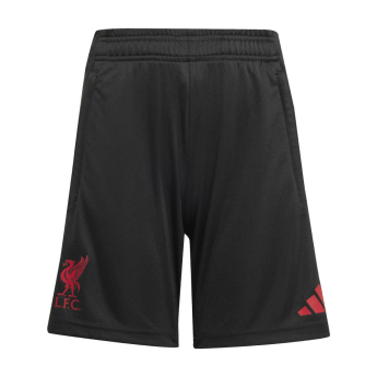 FC Liverpool dětské tréninkové trenýrky black