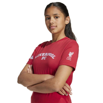 FC Liverpool dětské tričko US Pack