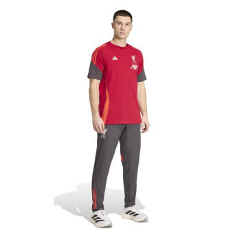 FC Liverpool pánské tričko Tiro Tee red