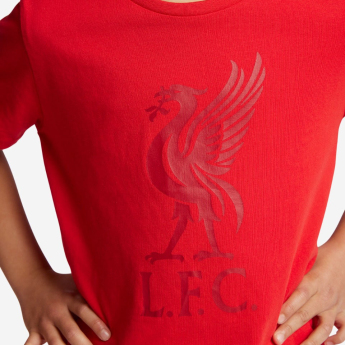 FC Liverpool dětské tričko liverbird red