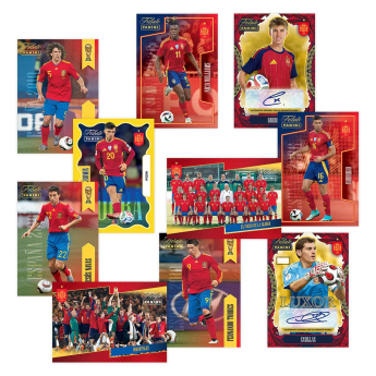 Fotbalové reprezentace karty hráčů !VAMOS CAMPEONES! 2010-2026