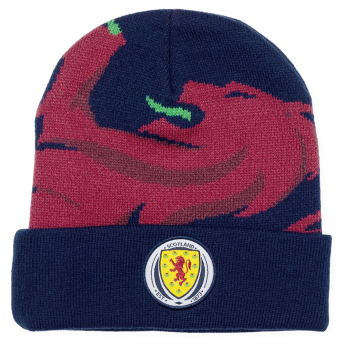 Fotbalové reprezentace čepice Cuff Beanie