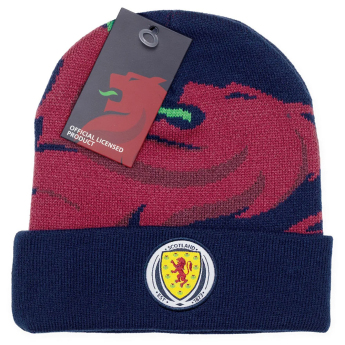 Fotbalové reprezentace čepice Cuff Beanie