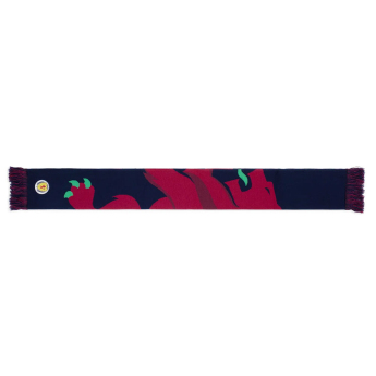 Fotbalové reprezentace zimní šála Crest Scarf