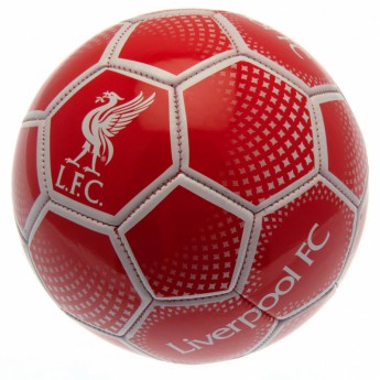 FC Liverpool fotbalový míč Football DM