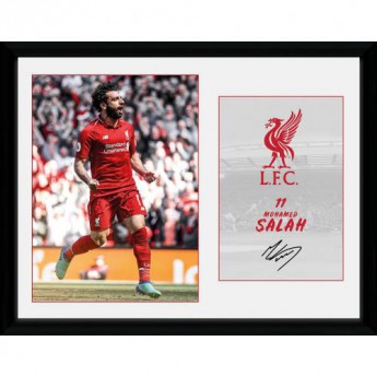 FC Liverpool obrázek v rámečku 11Salah 16 x 12