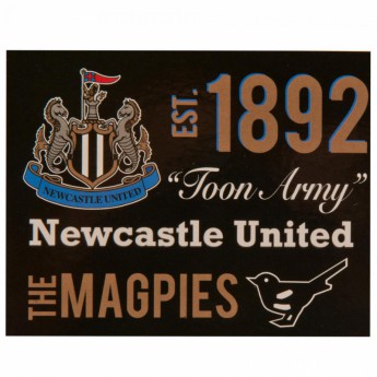 Newcastle United fleecová deka Fleece Blanket