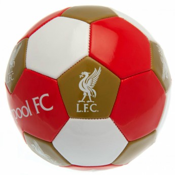 FC Liverpool fotbalový míč Football - size 3